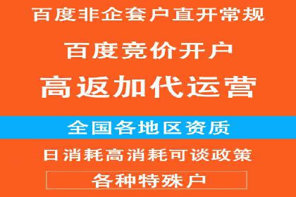 百度包年竞价策略优化：提高投资回报率